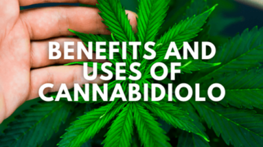 Benefits and Uses of Cannabidiol