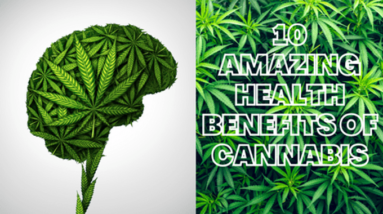 10 Amazing Health Benefits of Cannabis