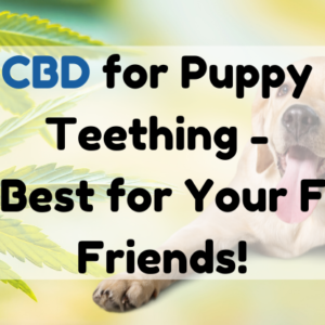 cbd for puppy teething featured image