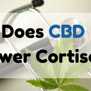 does CBD lower cholesterol featured image