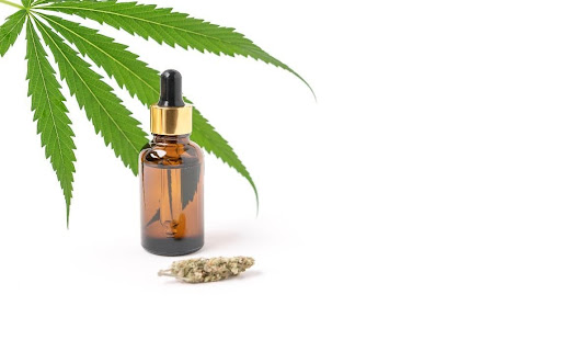 CBD oil and leaf on white background