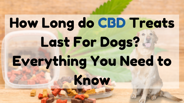 How Long do CBD Treats Last for Dogs? Everything You Need to Know