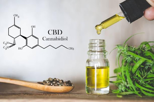 CBD oil with plant beside it