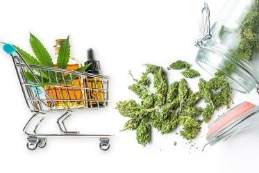 CBD plant and grocery cart