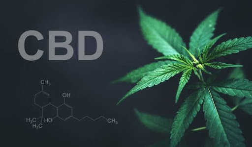 CBD plant and molecule on black background