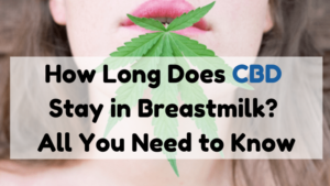 How Long Does CBD Stay in Breastmilk?