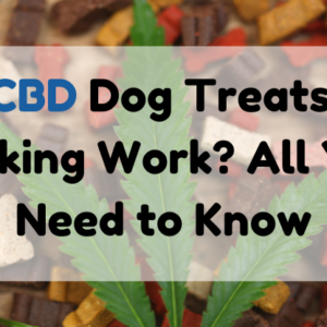 Do CBD Dog Treats for Barking Work?