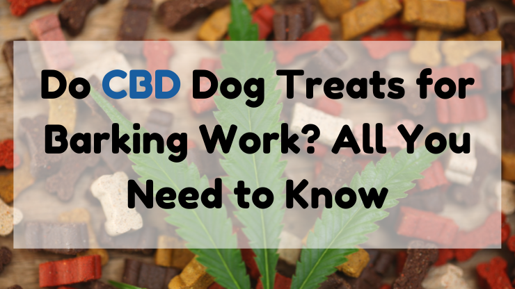 Do CBD Dog Treats for Barking Work?