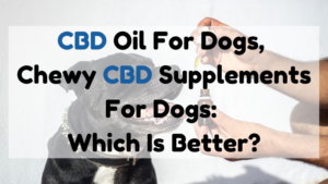 Chewy CBD Supplements For Dogs