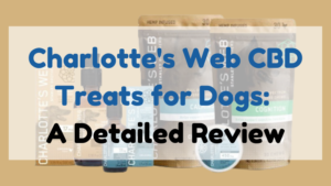 Charlotte's Web CBD