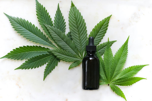 CBD oil and leaves