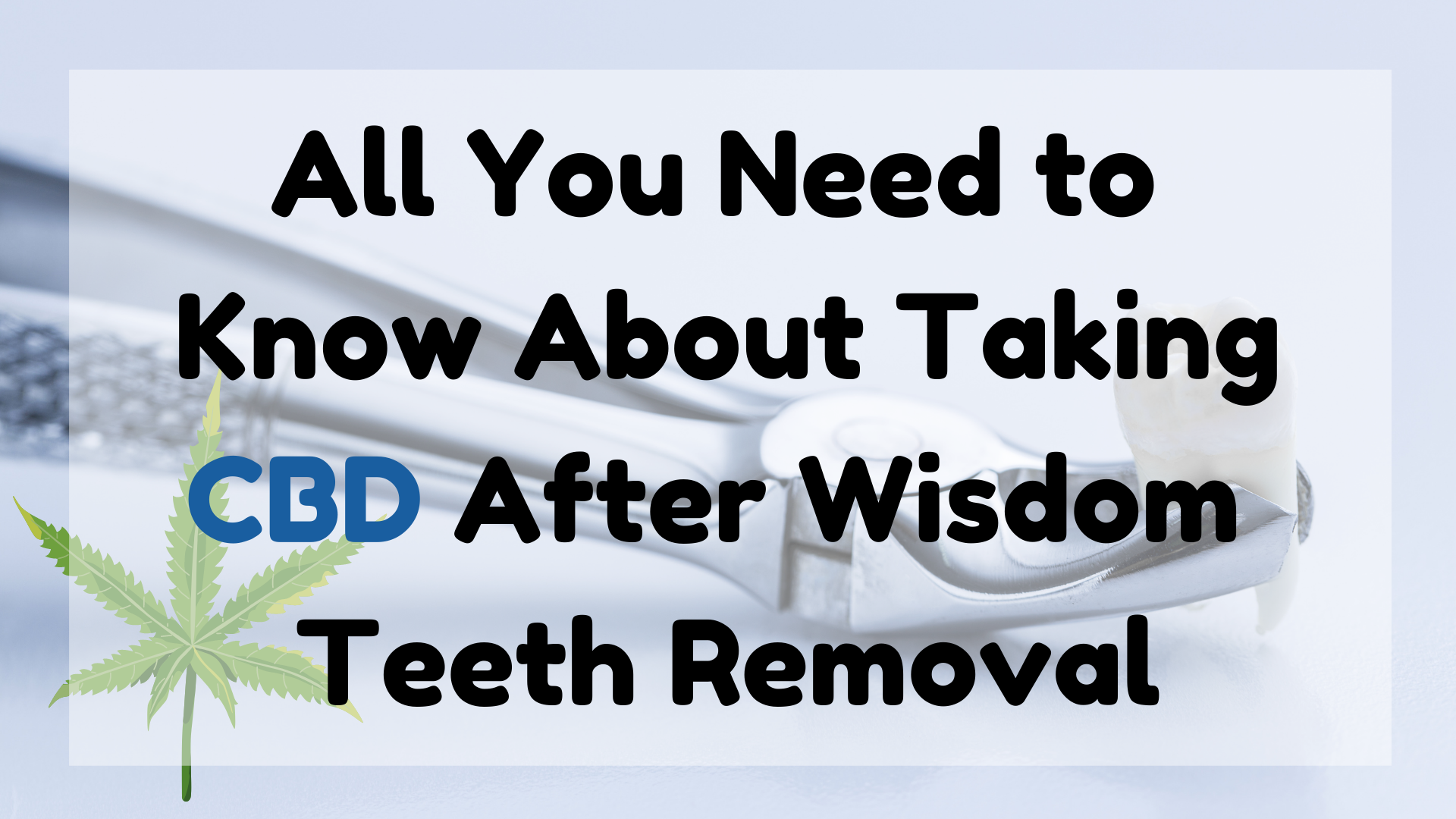 All You Need to Know About Taking CBD After Wisdom Teeth Removal
