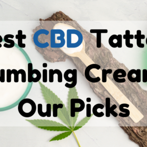 Best CBD Tattoo Numbing Cream Our Picks