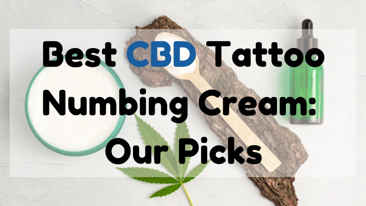 Best CBD Tattoo Numbing Cream Our Picks
