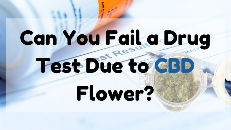 Can you fail a durg test due to CBD flower