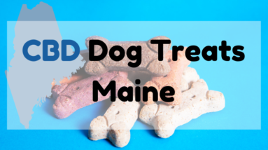 CBD Dog Treats Maine