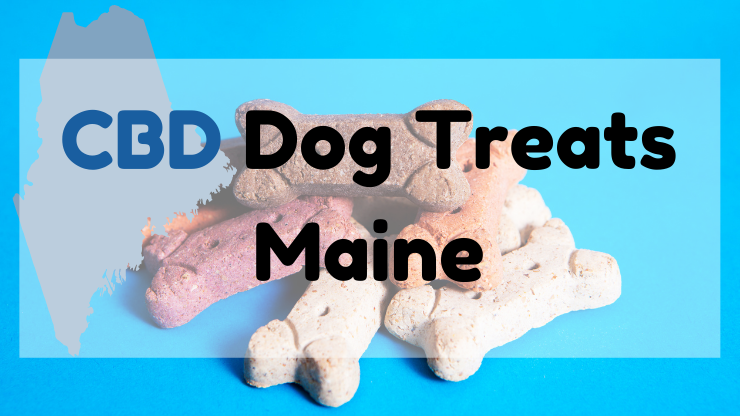 CBD Dog Treats Maine