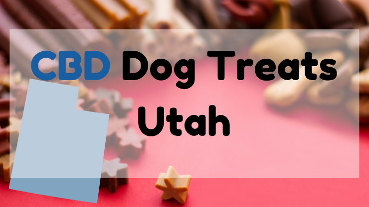CBD Dog Treats Utah
