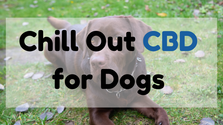 Chill Out CBD for Dogs 