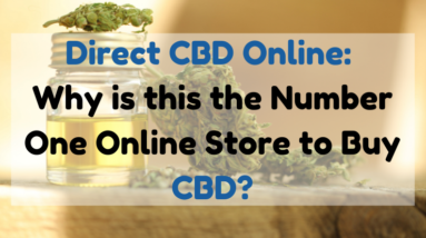 Direct CBD online Why is this the number one online store to buy CBD