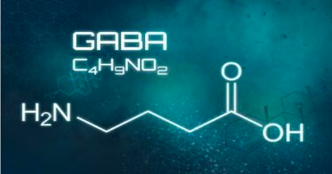 GABA molecule