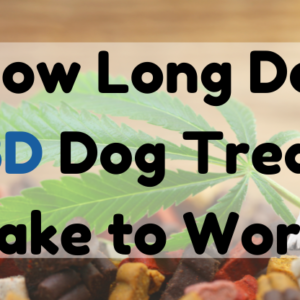How Long Do CBD Dog Treats Take to Work