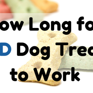 How Long for CBD Dog Treats to Work