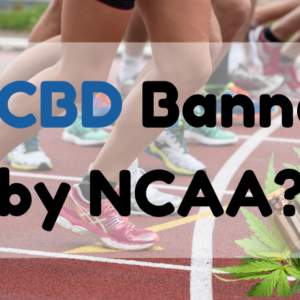Is CBD Banned by NCAA?