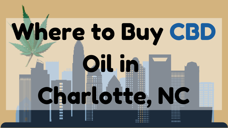 Where to Buy CBD Oil in Charlotte