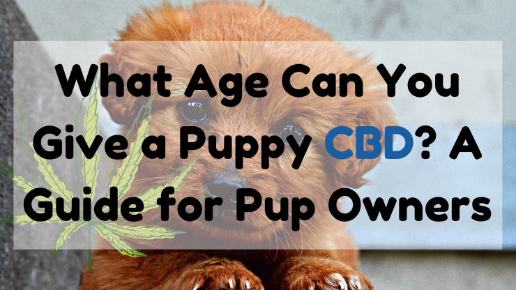 what age can you give puppy cbd