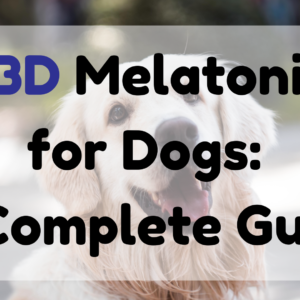 CBD Melatonin for Dogs