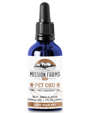 CBD for Dogs After Surgery-2