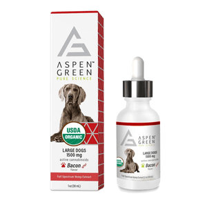 CBD for Dogs After Surgery-3