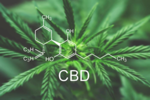 CBD to Get Out of Your System-1.jpg
