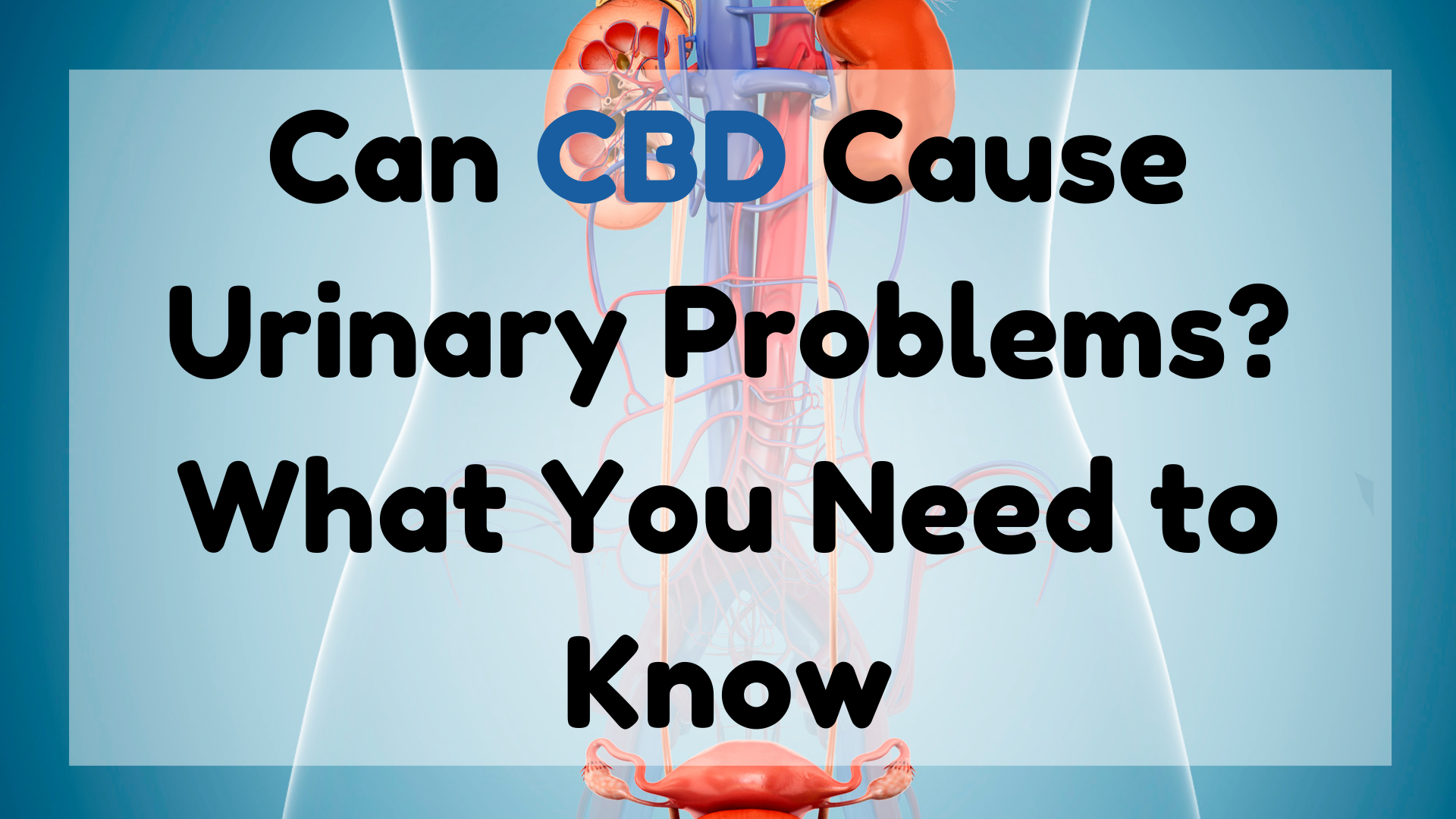 Can CBD Cause Urinary Problems