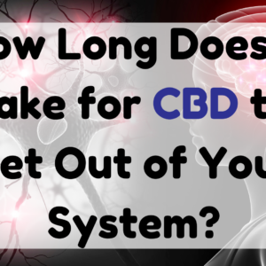 How Long Does It Take for CBD to Get Out of Your System
