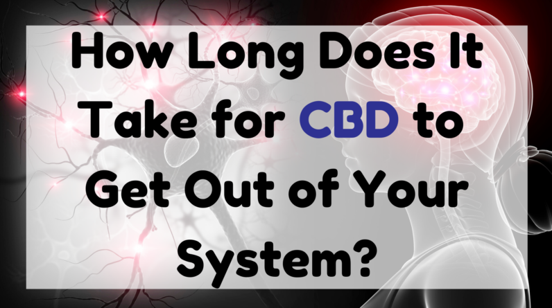 How Long Does It Take for CBD to Get Out of Your System
