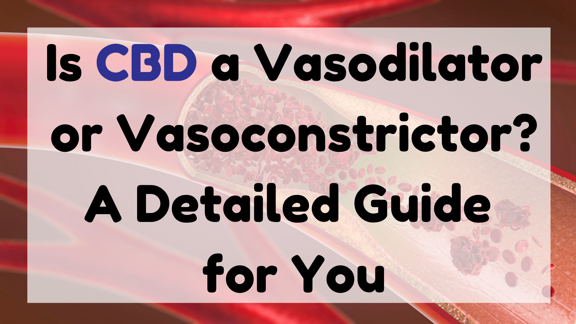 Is CBD A Vasodilator or Vasoconstrictor