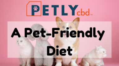 Petly CBD Featured image