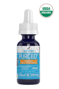 CBD Oil for Addison's Disease in Dogs-2