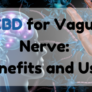 CBD for Vagus Nerve