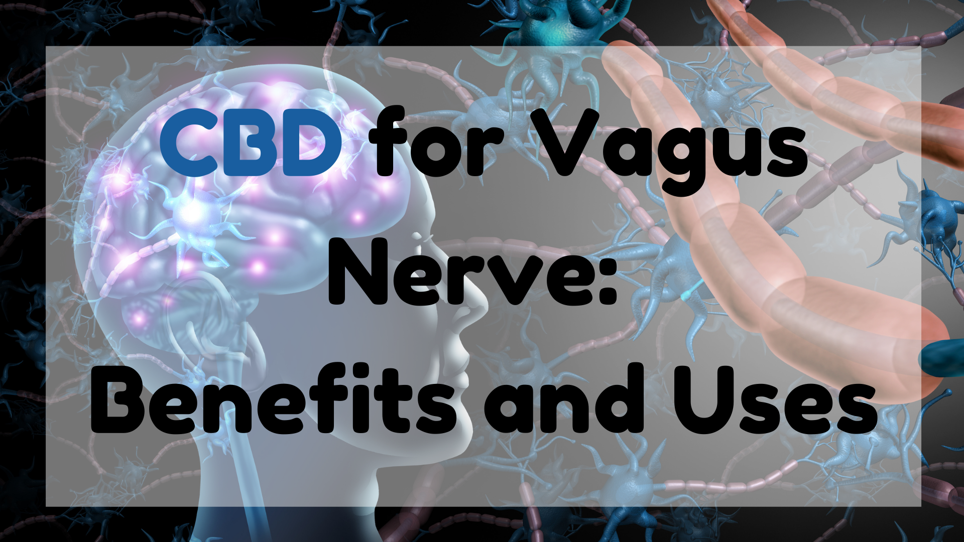 CBD for Vagus Nerve