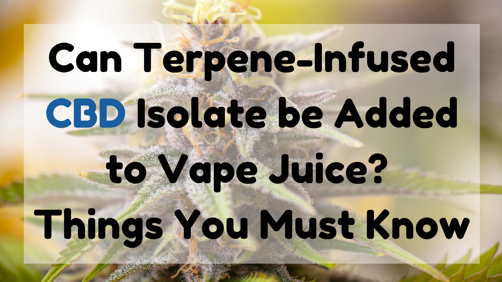 Can Terpene-Infused CBD Isolate Be Added to Vape Juice