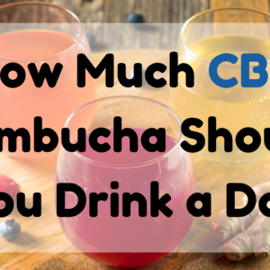 How Much CBD Kombucha Should You Drink a Day