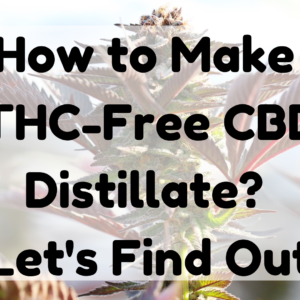 How to Make THC-free CBD Distillate