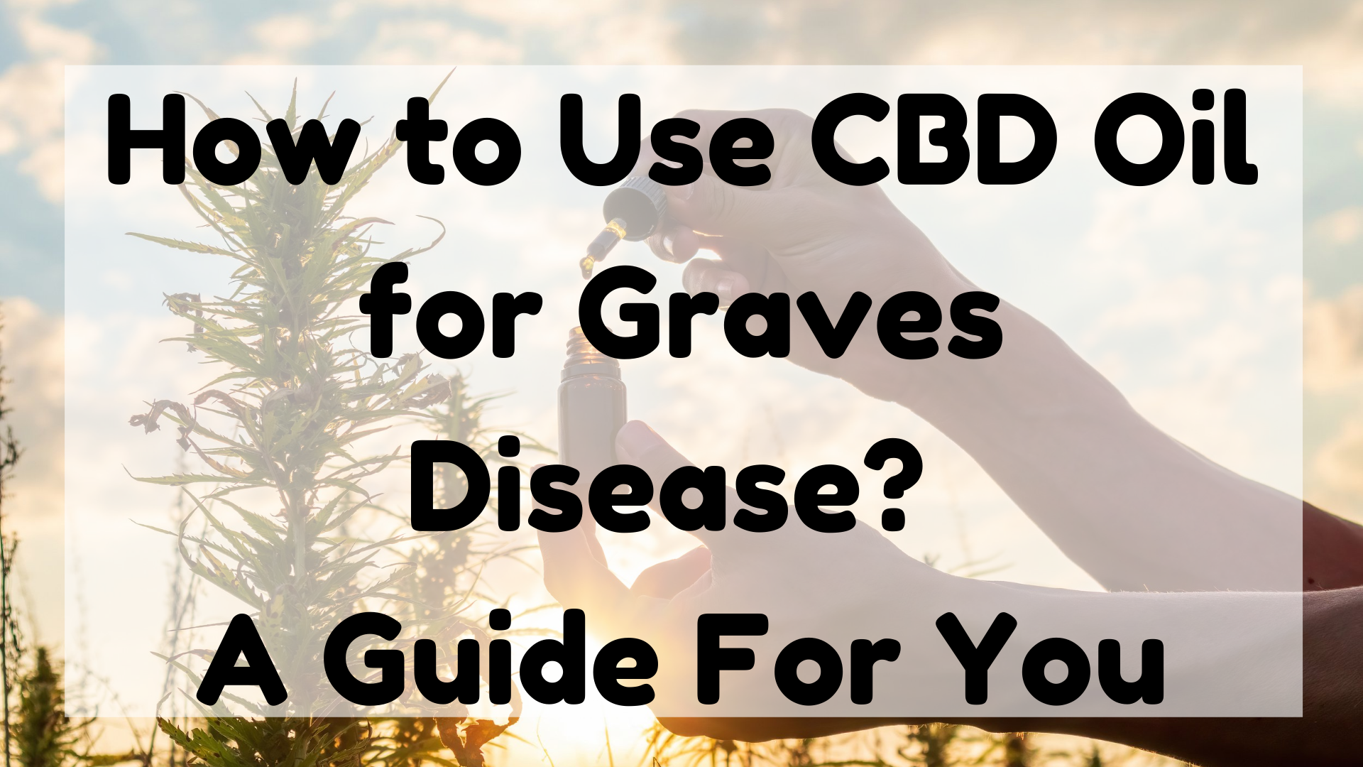 How to Use CBD Oil for Graves Disease?