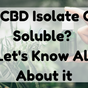 Is CBD Isolate Oil-Soluble?