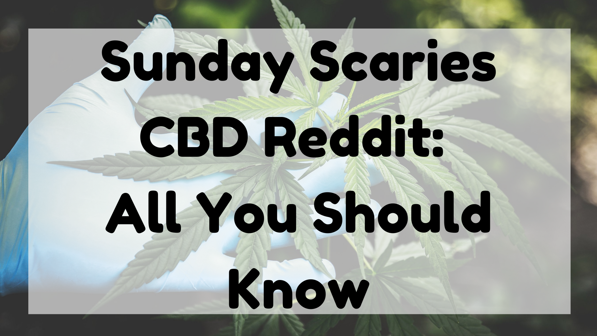 Sunday Scaries CBD Reddit