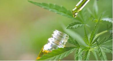 What is CBD Distillate Used for-1