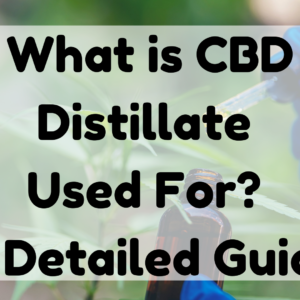 What is CBD Distillate Used for?